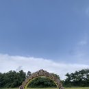 월드머쉬룸 영농조합법인 | [제주/서귀포] 한라산아래첫마을 영농조합 / 평냉 입문자에게 보내는 편지