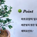 스윗하트 이미지