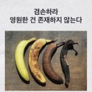 요양보호사 사회복지사반 중반부 수업 후기