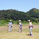 함평파크골프장 이미지