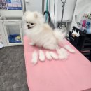 이뻐지는산책 이미지