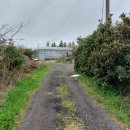 하천리-9 이미지