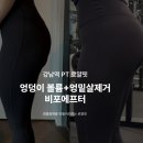 로얄핏PT 이미지
