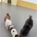 헬로우나니