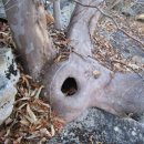 묘한향기 이미지