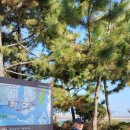 갈맷길(5-1구간) 이미지