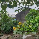 낭그늘 펜션 이미지