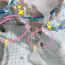 애견미용실 또이쁜댕 이미지