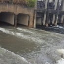 폐수종말처리장 이미지