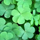 귀인한의원 이미지