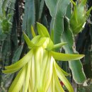 만용농장 이미지