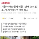 서울 아파트 월세 매물 1년새 20% 감소 '월세가격지수 역대최고' 이미지