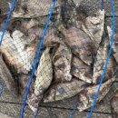 동검 한국빌라 이미지