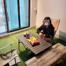 호스텔 프레전트 이미지