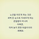 (데이터 주의)영원할 순 없지만 아름다운 동반을 위하여. 이미지