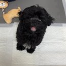 장현동물병원 이미지