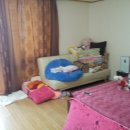 어양동-16 이미지