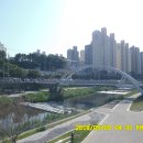 진천천 하천