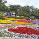 장미모텔 이미지