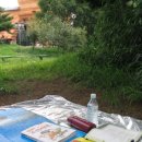 푸른체육관 이미지