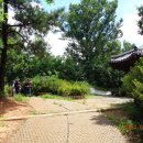 올레길 산림형 1코스 이미지