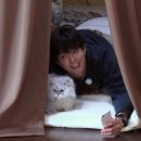 고양이민박 이미지