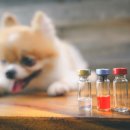 아이안 동물의료센터 이미지