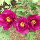 경인교육대학교 이미지