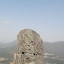 정남진 편백