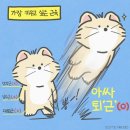 요가(주간) 이미지