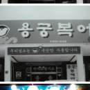 용궁복어 이미지