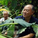 부평5동 주민센터 이미지