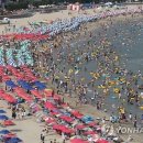 송도해수욕장 이미지