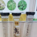 양지동 주민센터 이미지