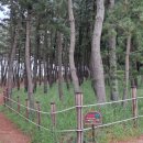 평해사구습지 이미지