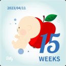 이에프이(압소바)롯데백화점강남점 | [임신일기#8] 15~17주 차 이야기 / 압소바 / 배냇저고리 / 아인병원 / 유팡플러스 / 해피테일즈바디...