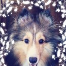 추계예술대학교 교육대학원 이미지