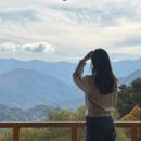 리틀 아쉬람 이미지