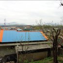 송강농장 이미지