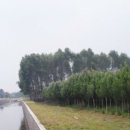 흥농농장 이미지