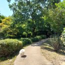 (주)멕시칼리 이미지