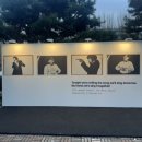 무지개체육관 | 잔나비 콘서트 [합창의 밤 2026] 프로 관객러 공연 처돌이의 후기 | 잠실 실내 체육관