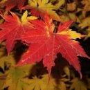 내안에너 이미지