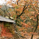 청도감마을 이미지