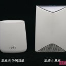 오르비