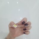 손콤마발