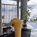 뉴 | 뉴타운비치 후기 | 부모님과 가기 좋은 막탄 뉴타운 프라이빗 비치 솔직리뷰