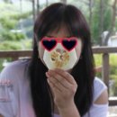 우리들약초마을