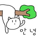 아뵤오반점홈플러스 이미지