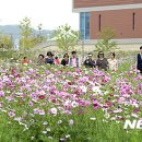 안전지대 이미지